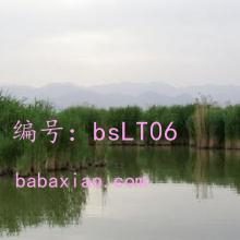 ź